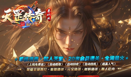 天罡传奇微变正版公益单职业版本-第六大陆_GOM引擎